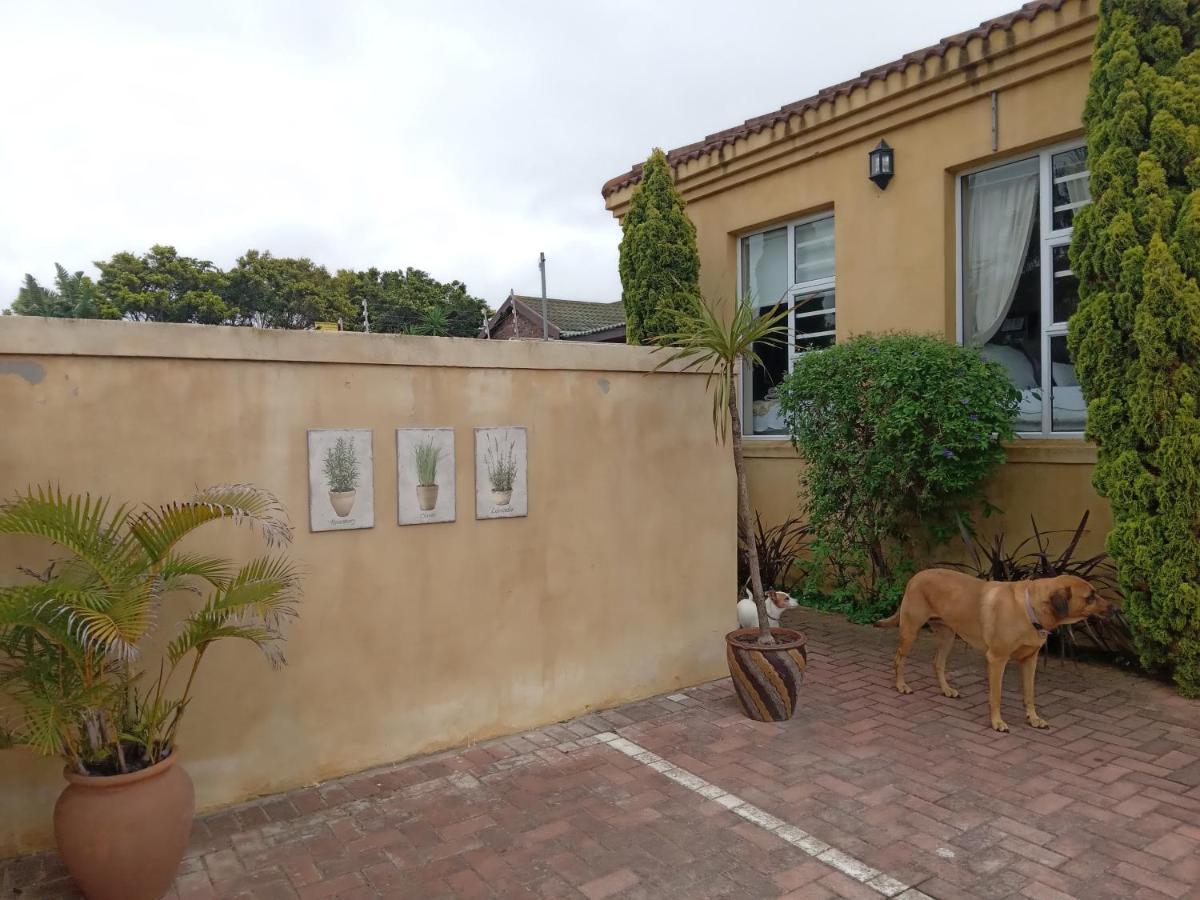 Toscana Cottage بورت اليزابيث المظهر الخارجي الصورة