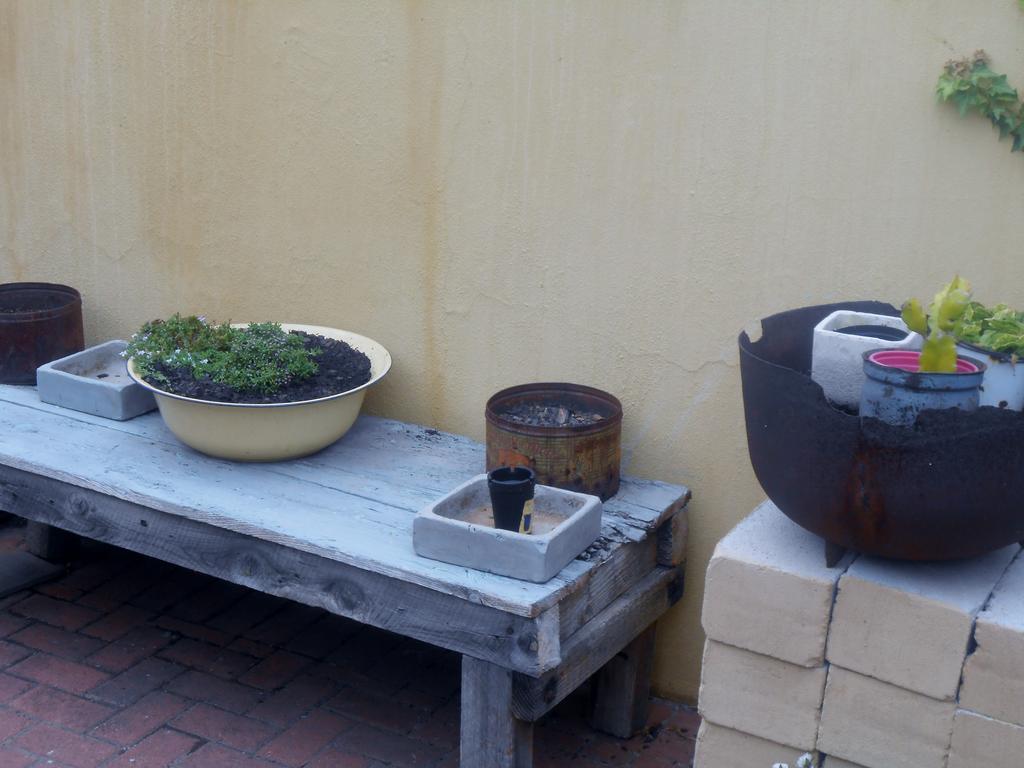 Toscana Cottage بورت اليزابيث المظهر الخارجي الصورة